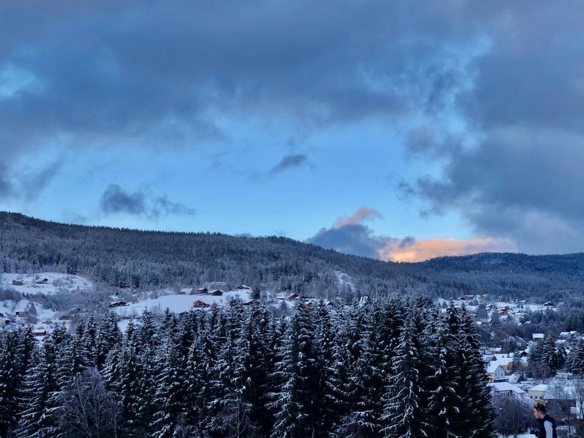 Le Bois Des Neiges Charmant Chalet Authentique A 5 Mn De Gerardmer Xonrupt-Longemer Kültér fotó