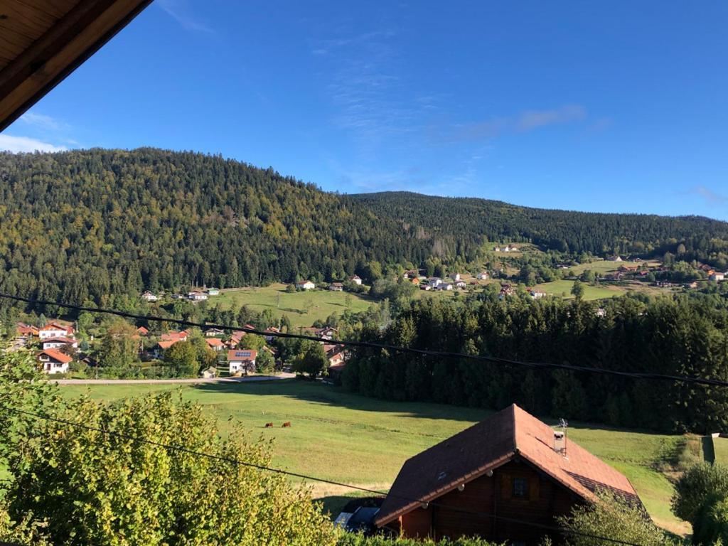 Le Bois Des Neiges Charmant Chalet Authentique A 5 Mn De Gerardmer Xonrupt-Longemer Kültér fotó
