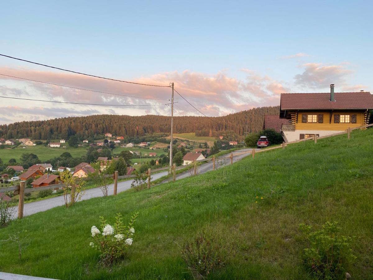Le Bois Des Neiges Charmant Chalet Authentique A 5 Mn De Gerardmer Xonrupt-Longemer Kültér fotó