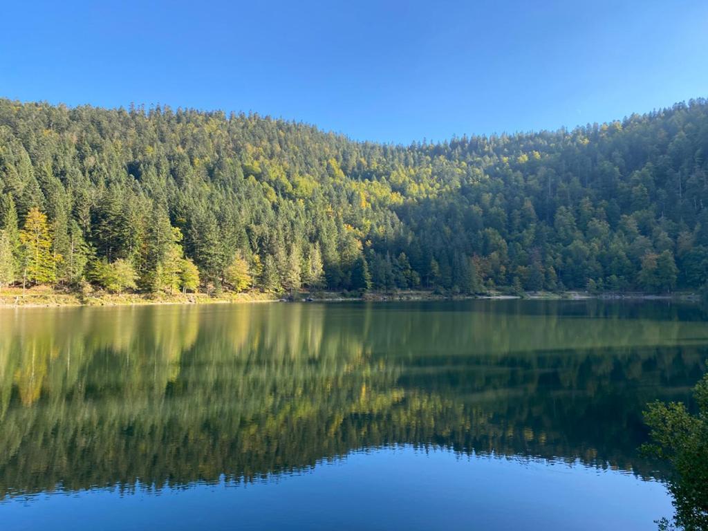 Le Bois Des Neiges Charmant Chalet Authentique A 5 Mn De Gerardmer Xonrupt-Longemer Kültér fotó